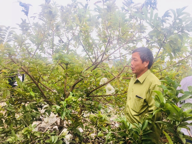 Sản xuất nông, lâm nghiệp và thủy sản tiếp tục giữ đà tăng trưởng