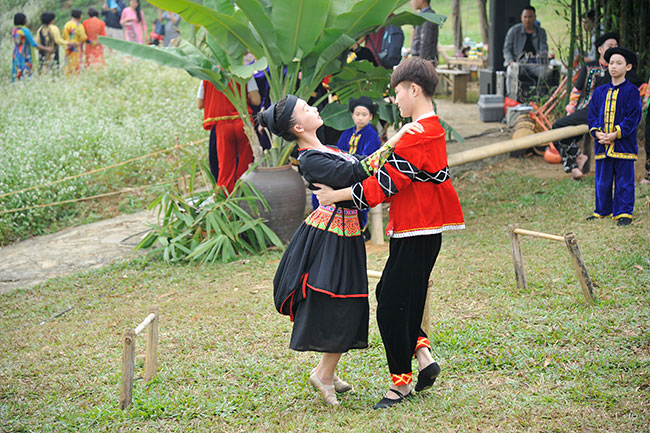 Trải nghiệm “Huyền thoại loài hoa Tam giác mạch”