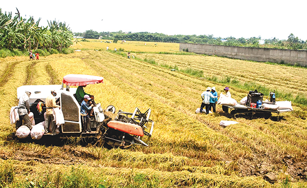 Cần Thơ Hiệu quả từ đưa cơ giới hóa vào sản xuất nông nghiệp