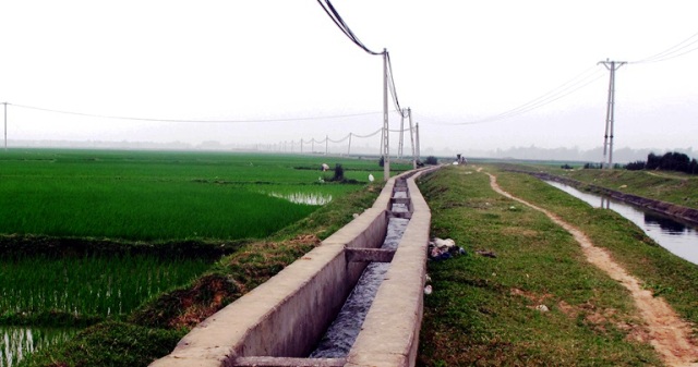 Vĩnh phúc Diện tích đất dịch vụ cho người dân đạt khá