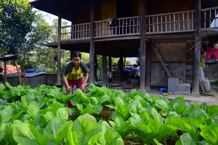 Cần quan tâm hơn nữa đến chất lượng dân số vùng miền núi