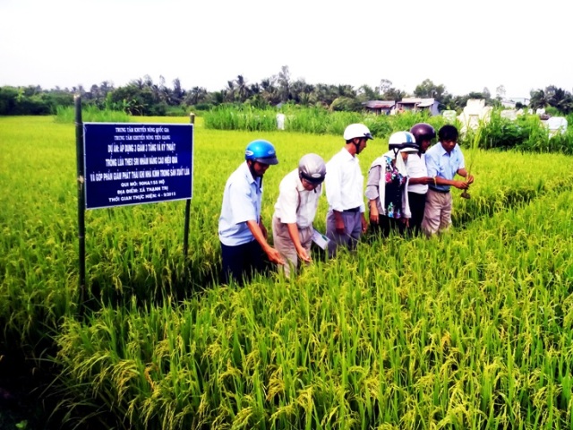 Ngành nông nghiệp cần chủ động với biến đối khí hậu