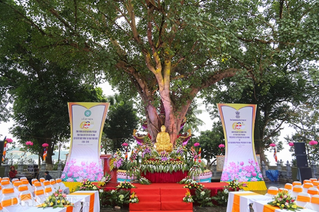 Kỷ niệm 60 năm Tổng thống Ấn Độ Rajenda Prasad trao tặng Chủ tịch Hồ Chí Minh cây bồ đề