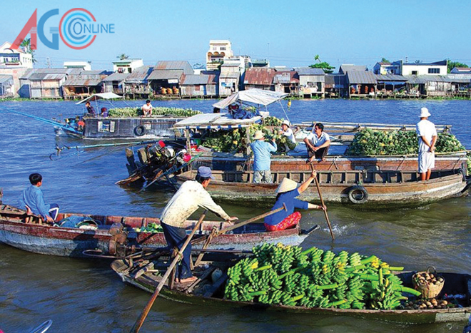 An Giang tập trung lãnh đạo chuẩn bị đại hội đảng các cấp