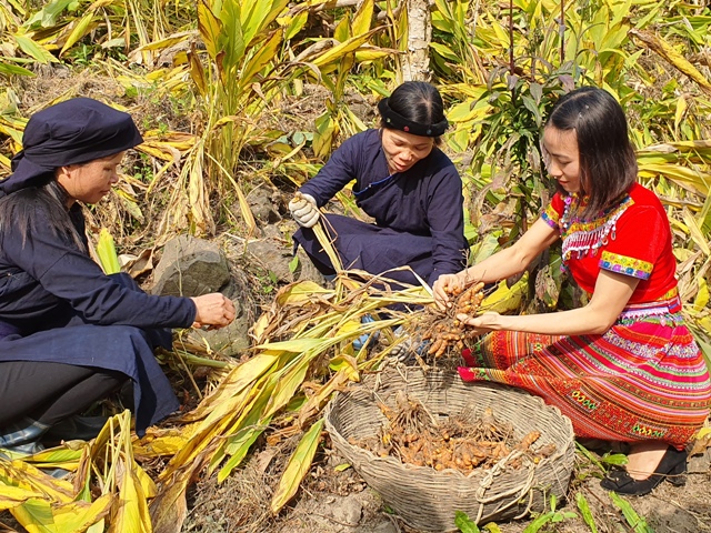 Thúc đấy tinh thần làm giàu của doanh nghiệp