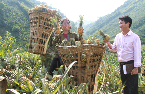 Vĩnh Phúc Tăng cường chuỗi liên kết hỗ trợ “đầu ra” sản phẩm nông nghiệp