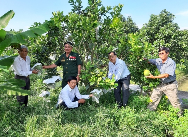 Phát huy tinh thần gương mẫu của cựu chiến binh trong xây dựng nông thôn mới