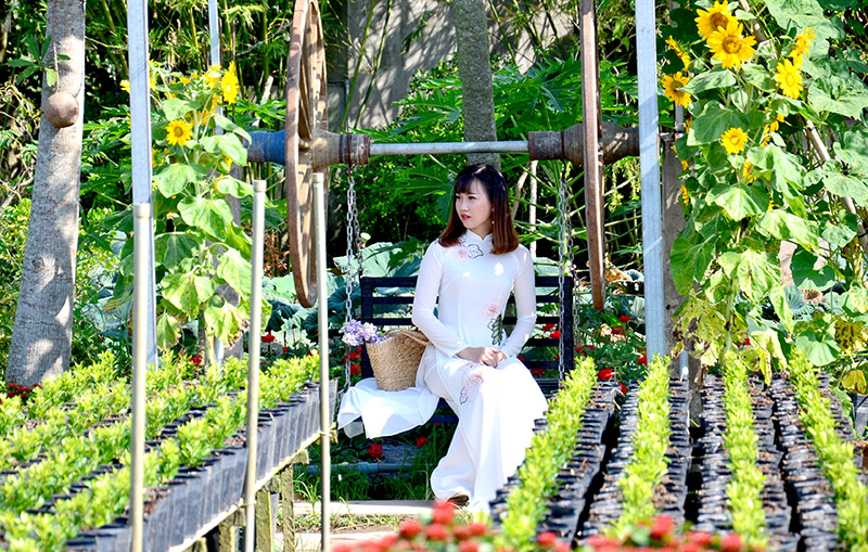 Tham quan làng hoa lớn nhất vùng đồng bằng sông Cửu Long