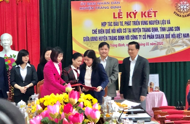 Phát triển vùng nguyên liệu quế, hồi hữu cơ tại Tràng Định, Lạng Sơn