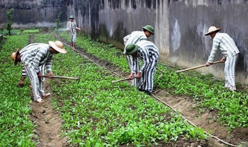 Tây Ninh Giảm thời hạn chấp hành án phạt tù cho 622 phạm nhân