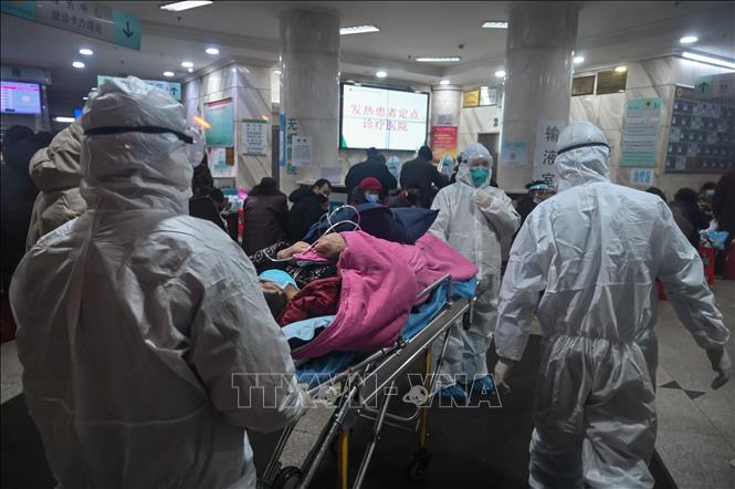 WHO thừa nhận sai sót liên quan đến virus corona