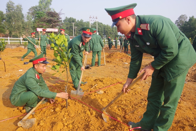 Hưởng ứng Tết trồng cây đời đời nhớ ơn Bác Hồ