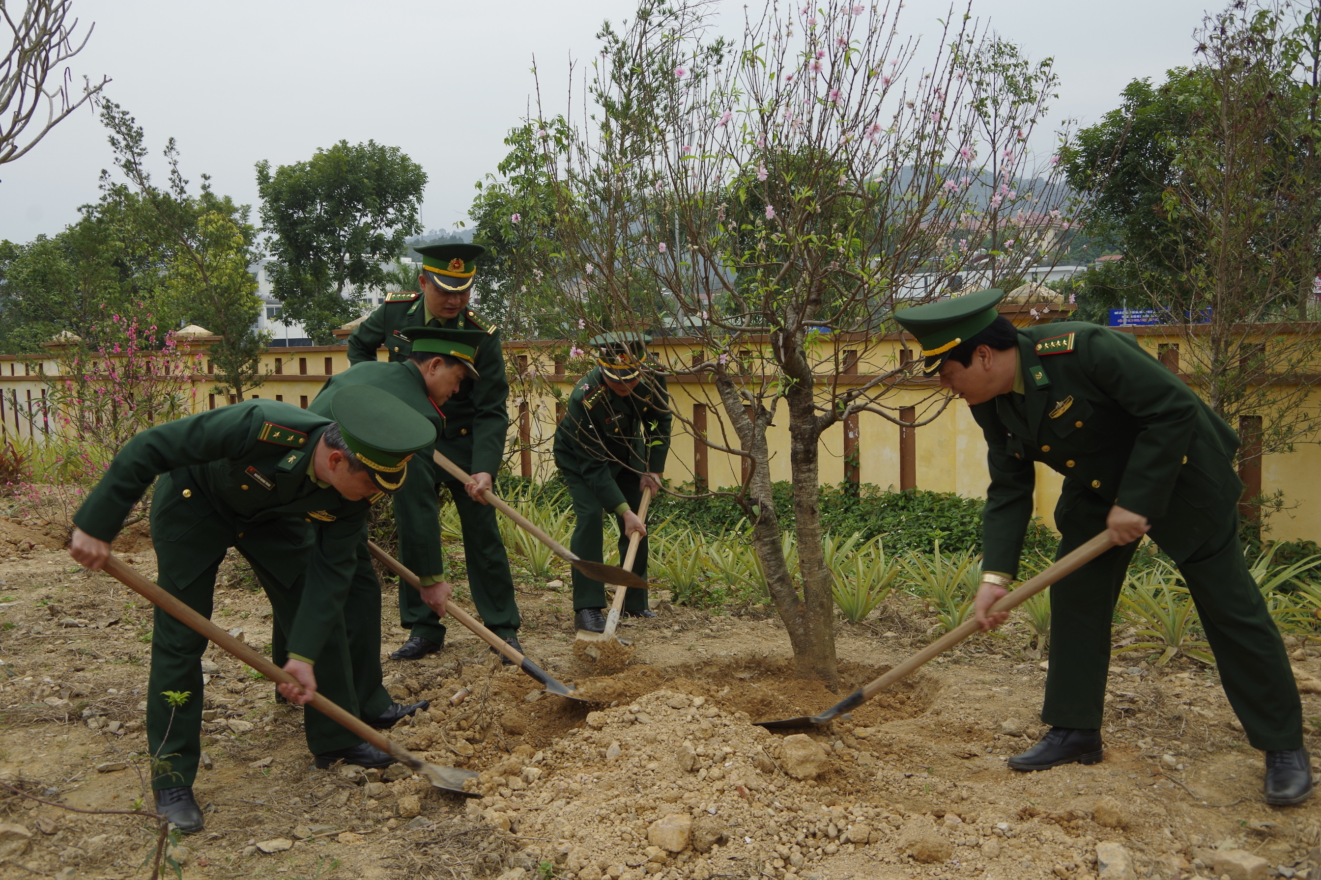 BĐBP Lào Cai phát động Tết trồng cây