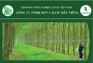 Vững vàng nội lực để vươn cao, bay xa