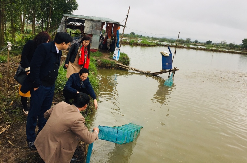 Ninh Bình đẩy mạnh ứng dụng khoa học công nghệ trong sản xuất nông nghiệp
