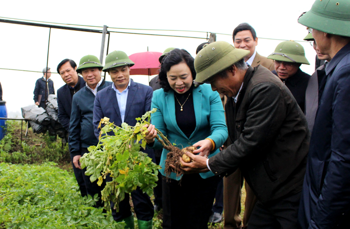 Thạch Thất tập trung để đạt huyện nông thôn mới trong năm 2020