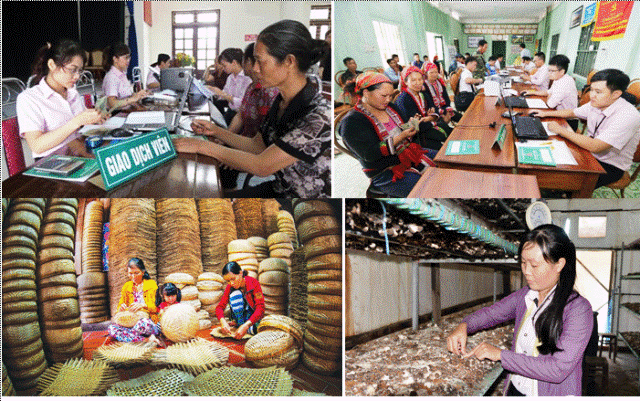 Ngân hàng Chính sách xã hội phấn đấu hoàn thành xuất sắc nhiệm vụ năm 2020