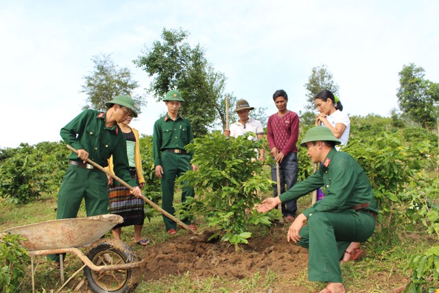Bộ đội giúp dân xóa đói giảm nghèo, phát triển kinh tế