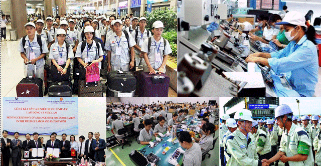 Nhìn lại tình hình lao động và việc làm 2019