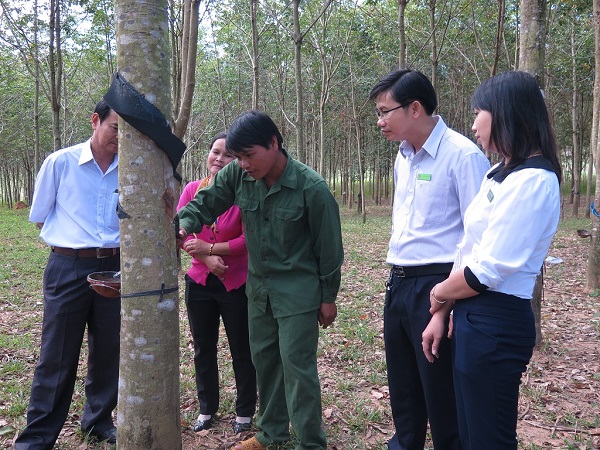Tín dụng chính sách tạo sinh kế thoát nghèo cho người dân Kon Tum