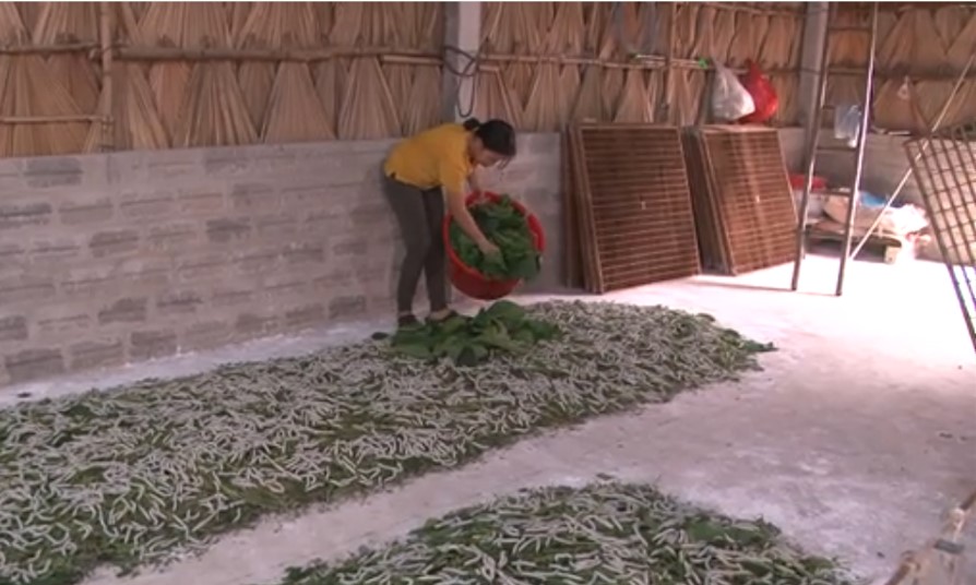 Đề xuất danh mục công việc nhẹ người từ 13 đến dưới 15 tuổi được làm