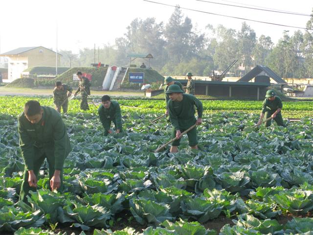 Bộ đội Hậu cần làm theo lời Bác dạy