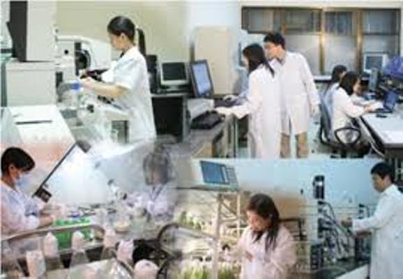 Sửa quy định thu hút, trọng dụng nhà khoa học xuất sắc