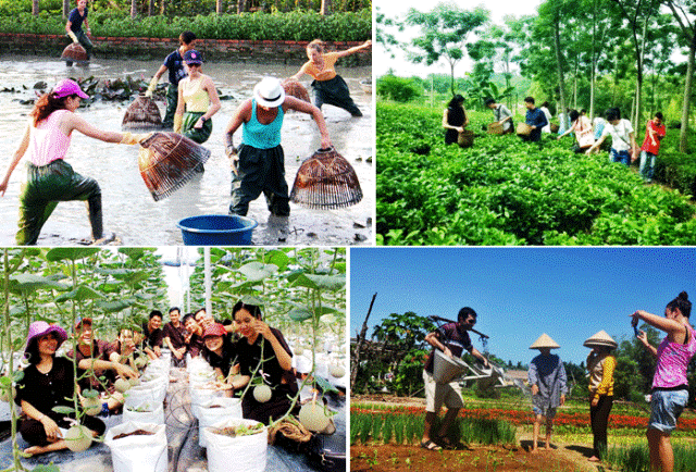 Phát triển nông nghiệp gắn với du lịch cộng đồng