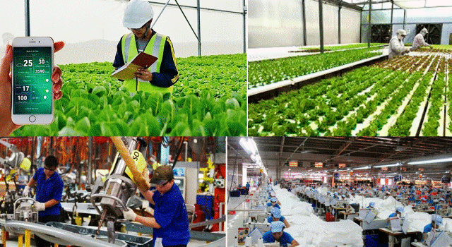 Infographic Quý I 2020, sản xuất nông nghiệp và công nghiệp chịu ảnh hưởng nặng của dịch bệnh COVID-19
