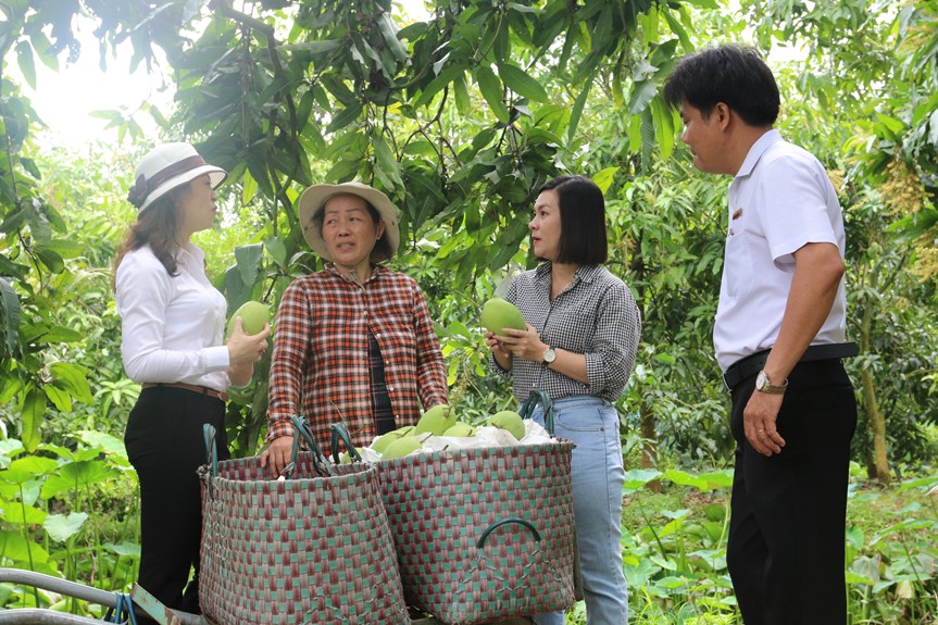 Agribank “tiếp sức” nguồn vốn giúp nông dân đổi đời