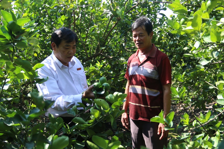 Agribank Đông Long An đồng hành cùng bà con nông dân phát triển nông nghiệp