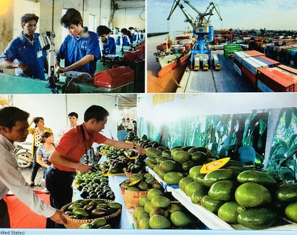 Thúc đẩy liên kết doanh nghiệp tham gia chuỗi giá trị toàn cầu