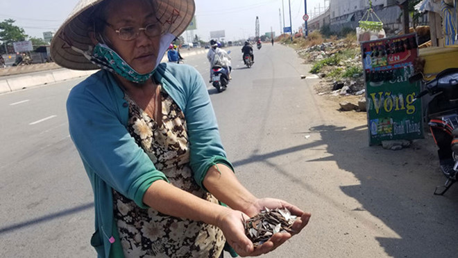 Điều tra, xử lý nghiêm người rải đinh trên quốc lộ 1 đoạn TP HCM - Bình Dương