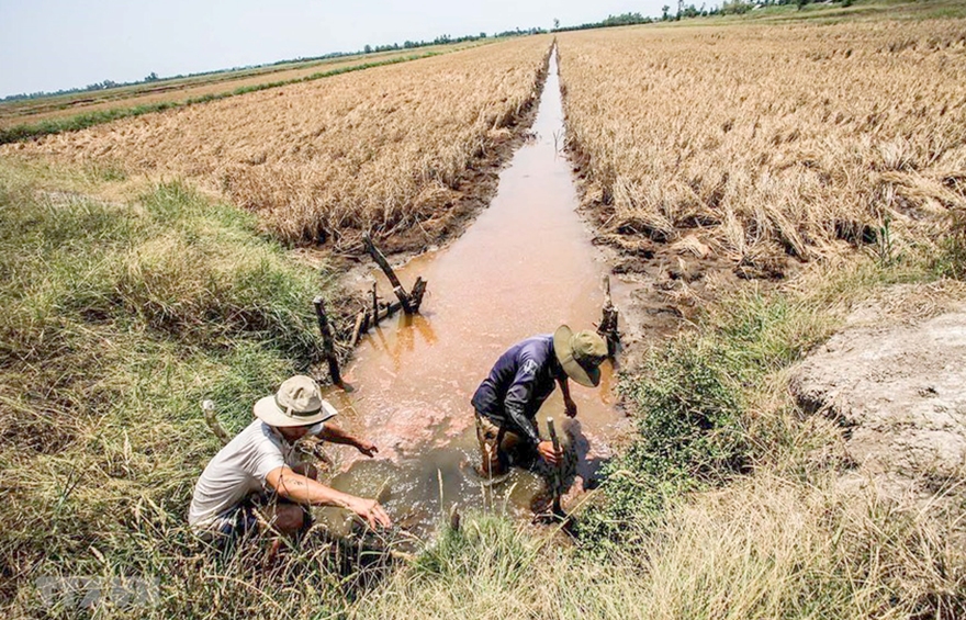 Agribank cùng ngành ngân hàng hỗ trợ khách hàng bị ảnh hưởng bởi hạn hán, xâm nhập mặn