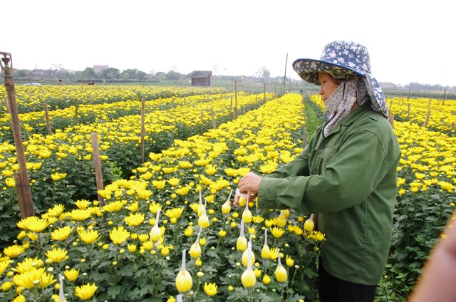 Thay đổi thói quen để chung sống với COVID-19