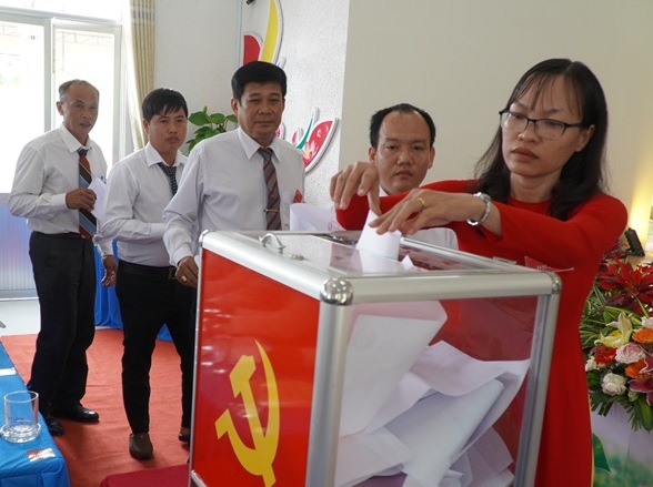 Tiếp tục lãnh đạo, chỉ đạo tổ chức đại hội đảng bộ các cấp