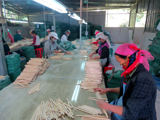 Đảm bảo tốt nhất quyền lợi cho người tham gia BHXH, BHYT, BHTN trong thời gian phòng, chống dịch COVID-19