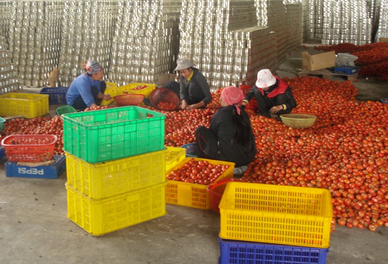 Long An đẩy mạnh phát triển công nghiệp chế biến nông sản
