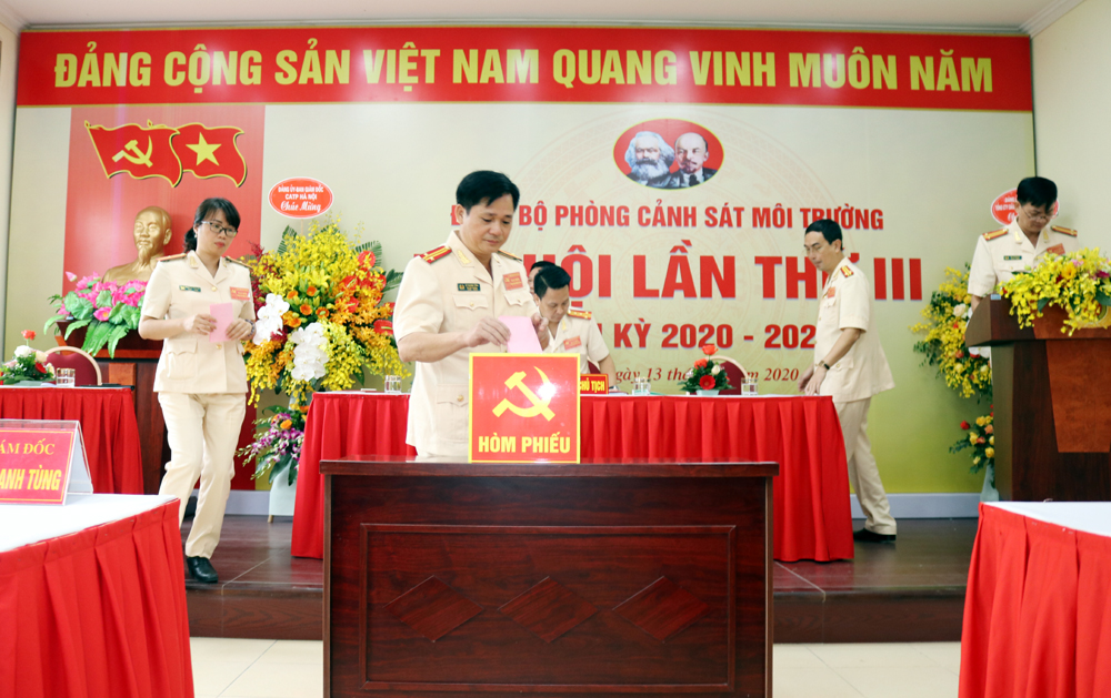 Đại hội Đảng tiến hành những nội dung nào