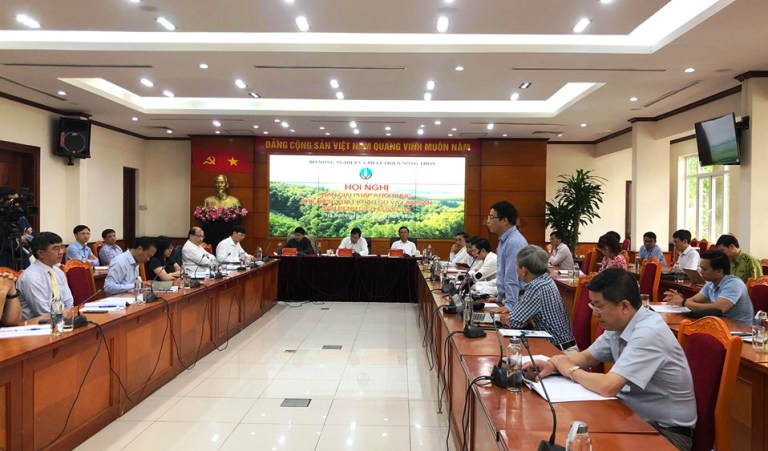 Tháo gỡ khó khăn cho xuất khẩu gỗ và lâm sản