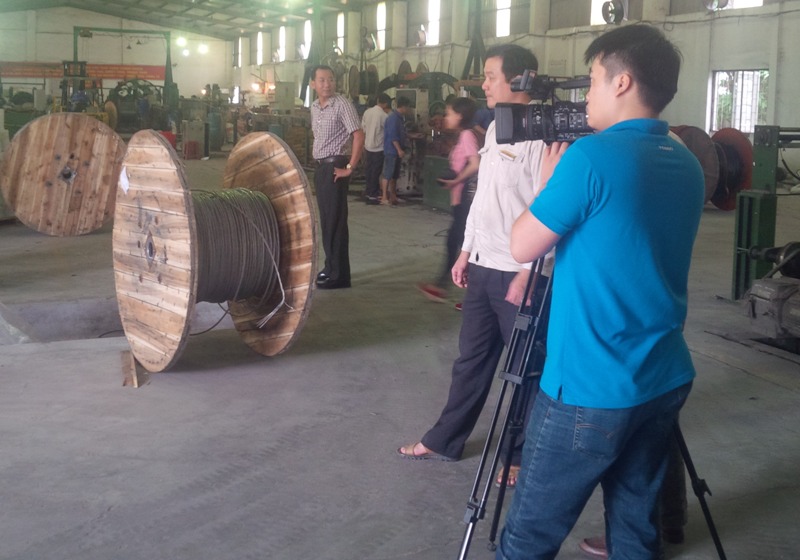 Việt Nam cần cải cách quyết liệt để nhận đầy đủ lợi ích từ EVFTA
