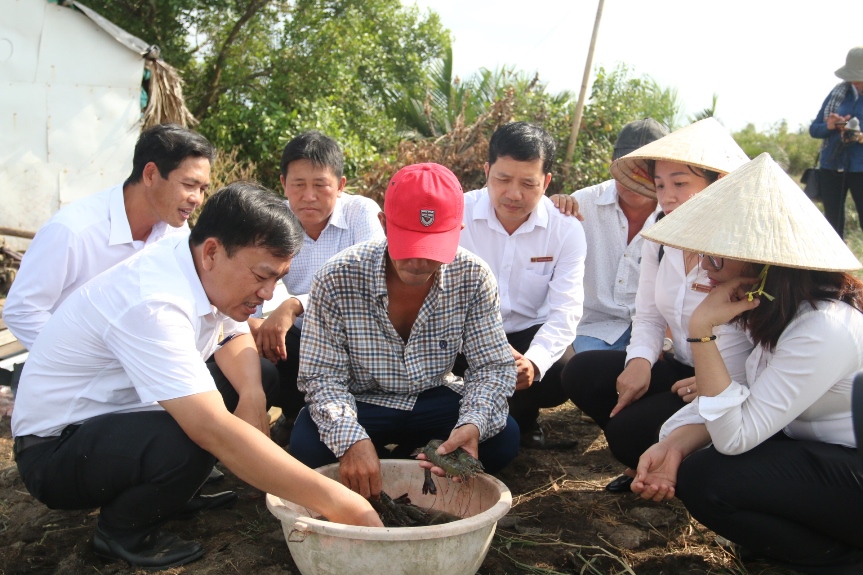 Tiếp sức mô hình nuôi tôm quảng canh