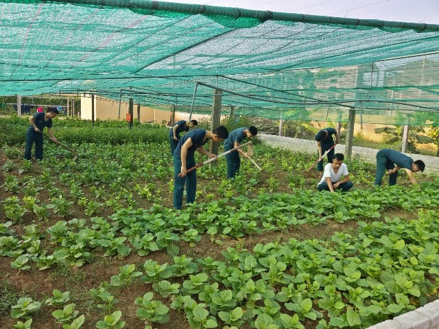 Mô hình tăng gia, chăn nuôi hiệu quả ở Trạm Ra đa 45