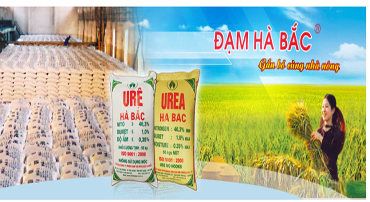 Kiến nghị điều tra sai phạm tại Công ty Cổ phần Phân đạm và Hóa chất Hà Bắc