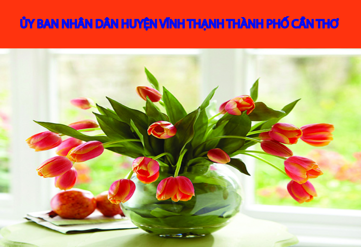 Xây dựng Đảng bộ huyện Vĩnh Thạnh trong sạch, vững mạnh