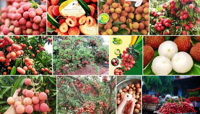 Sắp diễn ra Phiên chợ nông sản, thực phẩm an toàn tại Hà Nội