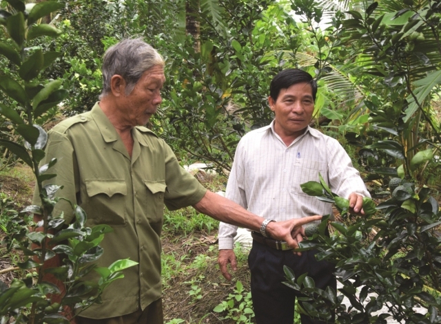 Cựu chiến binh giúp nhau thoát nghèo