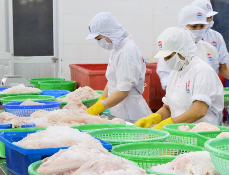 Bến Tre Chế biến dừa và thủy sản là hai ngành công nghiệp chủ lực