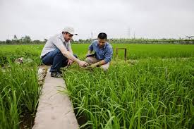 Giảm từ 20 - 50 mức phí trong lĩnh vực trồng trọt và giống cây lâm nghiệp