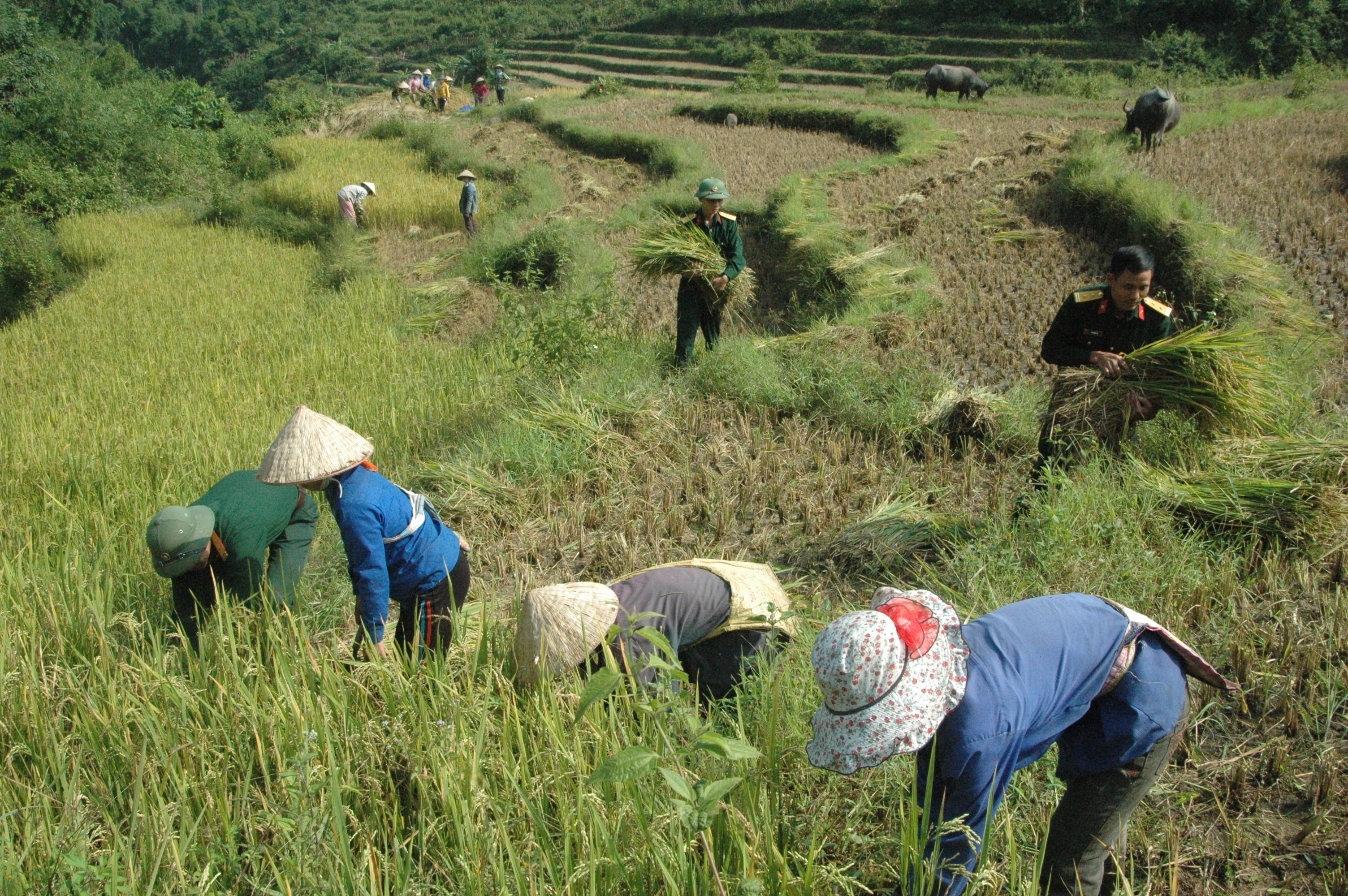 Bộ đội chung sức, Pù Nhi khởi sắc